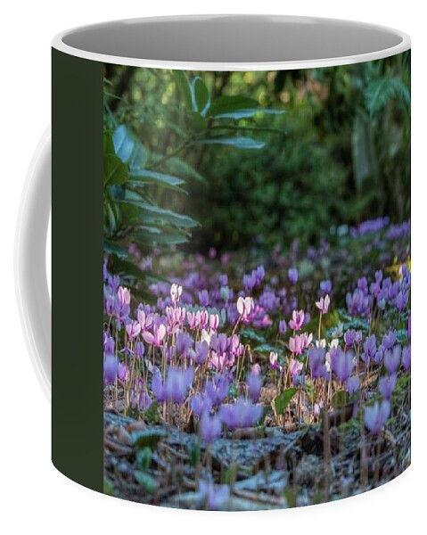 Flowers Coffee Mug featuring the photograph #morning #pnwonderland #forest by Jerry Renville