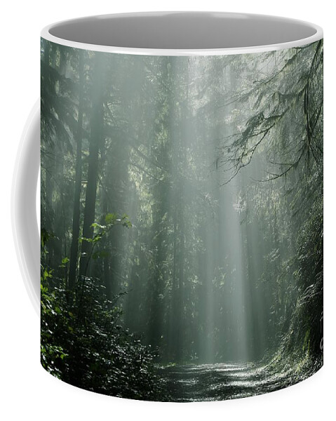 Sunshine Coffee Mug featuring the photograph Morning Rays by Sheila Ping