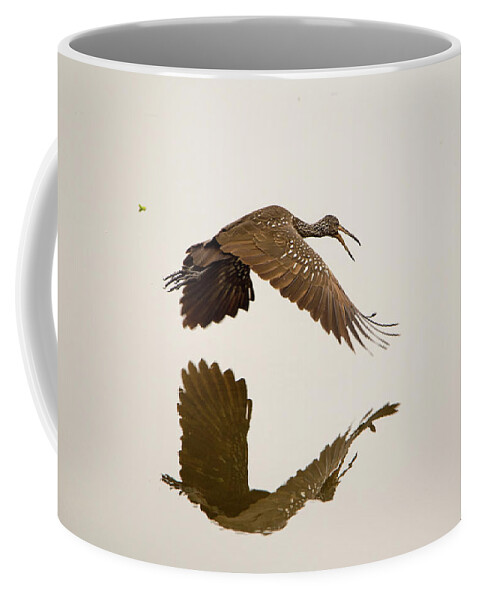 Limpkin Coffee Mug featuring the photograph Morning Reflection by Artful Imagery