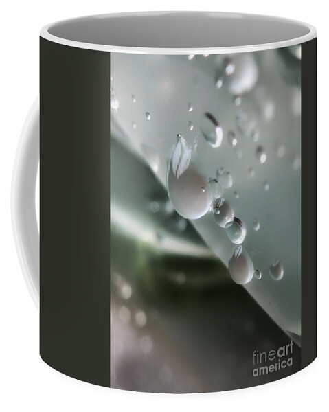 Droplets Coffee Mug featuring the photograph Morning Shower by Diana Rajala