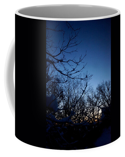 Snow Coffee Mug featuring the photograph Morning Star by Brooke Bowdren