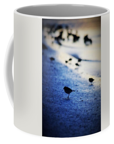 Bird Coffee Mug featuring the photograph Morning by Stoney Lawrentz