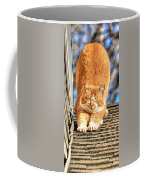 Tabby Coffee Mug featuring the photograph Morning Stretch by J Laughlin