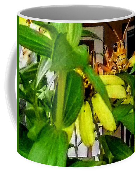 Insect Coffee Mug featuring the photograph Morning Visitor by Suzanne Berthier