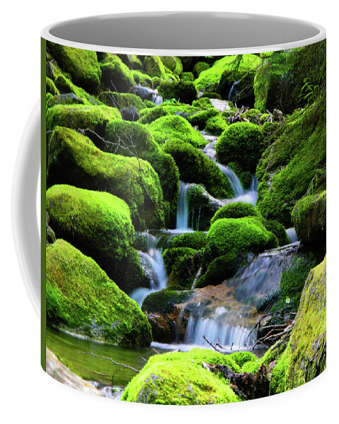 River Rocks Coffee Mug featuring the photograph Moss Rocks and River by Raymond Salani III