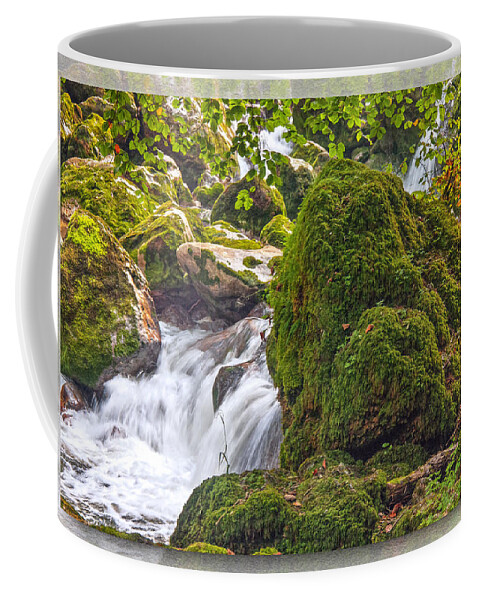 Switzerland Coffee Mug featuring the photograph Mossy Rock Creek by Hanny Heim