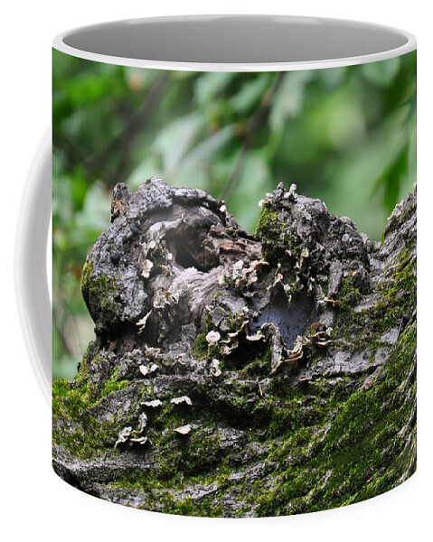 Tree Coffee Mug featuring the photograph Mossy Tree Knot by Flees Photos