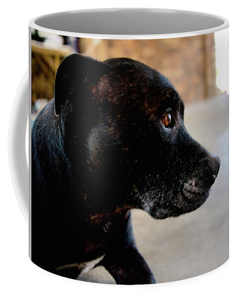 Portrait Coffee Mug featuring the photograph Motey by Michael Blaine