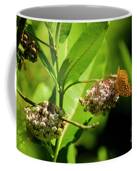 Milkweed Coffee Mug featuring the photograph Moth on the Milkweed by Diane Diederich