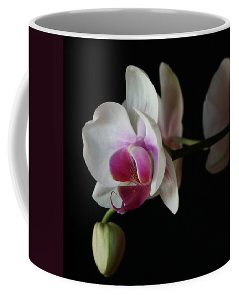 Moth Coffee Mug featuring the photograph Moth Orchid 1 by Marna Edwards Flavell