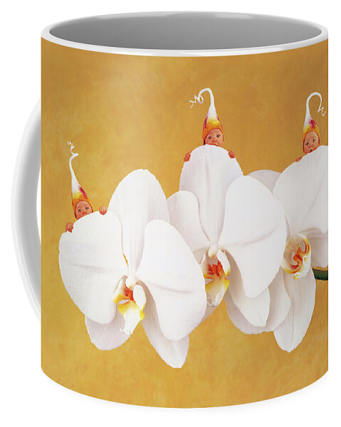 Triplets Coffee Mug featuring the photograph Moth Orchid by Anne Geddes