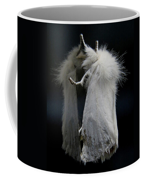 Moth Coffee Mug featuring the photograph Moth Reflection by John Topman