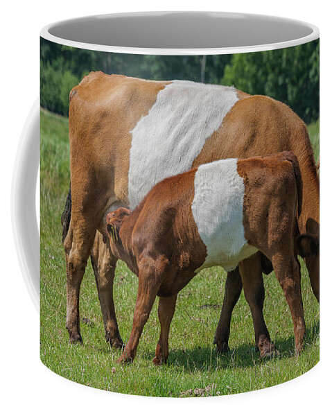 Agriculture Coffee Mug featuring the photograph Mother and child by Patricia Hofmeester