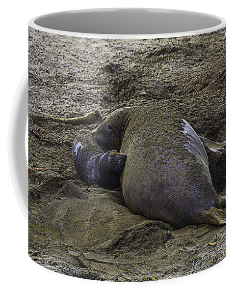 Elephant Coffee Mug featuring the photograph Mother And New Born by Garry Gay