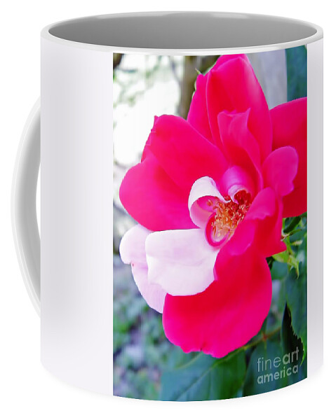 Rose Coffee Mug featuring the photograph Mother - Natures - Best by D Hackett