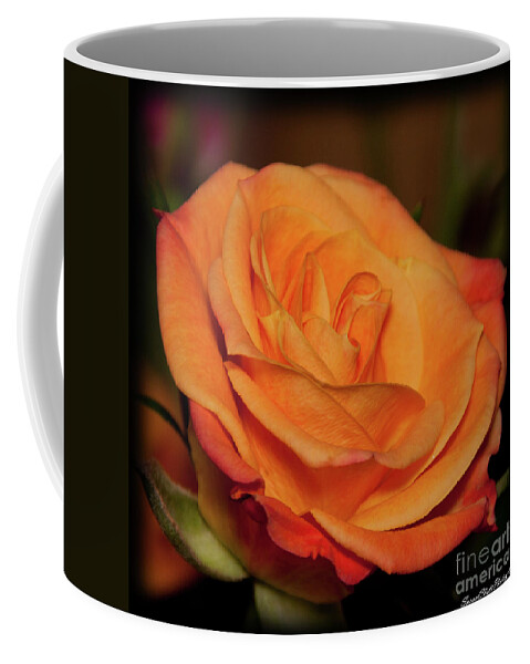 Rose Coffee Mug featuring the photograph Mother's day Rose by Susan Cliett