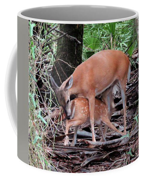 Fawn Coffee Mug featuring the photograph Mother's Love Cropped by Rosalie Scanlon