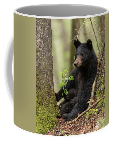 Black Coffee Mug featuring the photograph Mothers Loving Care by Everet Regal