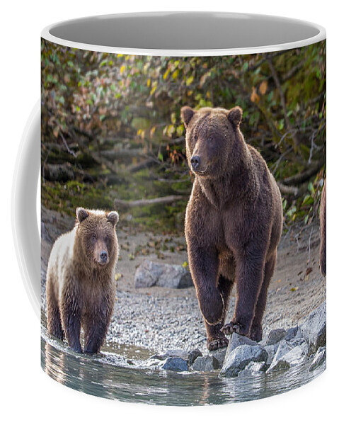 Porcupine Coffee Mug featuring the photograph Mother's Watch by Kevin Dietrich