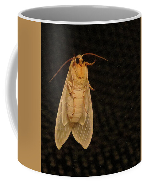 Moth Coffee Mug featuring the photograph Mothra by Linda Stern