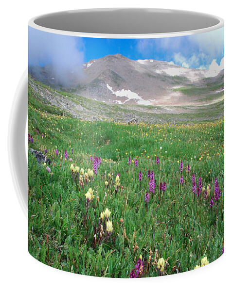 Mount Massive Coffee Mug featuring the photograph Mount Massive in the Clouds by Cascade Colors