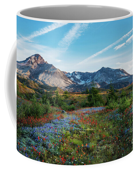 Mount St Helens Coffee Mug featuring the photograph Mount St Helens Glorious Field of Spring Wildflowers by Mike Reid