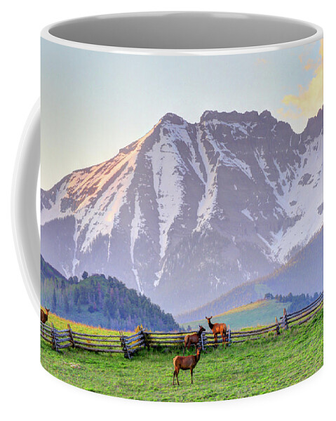Elk Coffee Mug featuring the photograph Mountain Elk by Scott Mahon