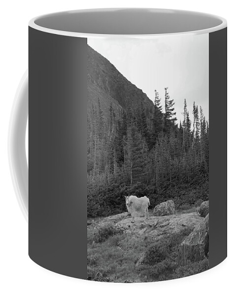  Coffee Mug featuring the photograph Mountain Goat at Mohawk by Ivan Franklin