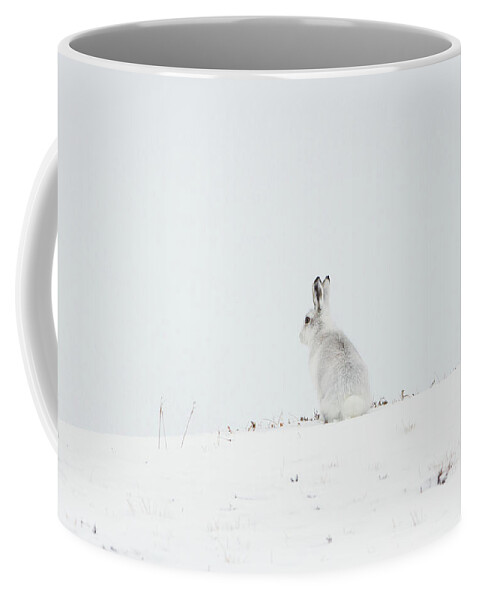 Mountain Coffee Mug featuring the photograph Mountain Hare Sat In Snow by Pete Walkden