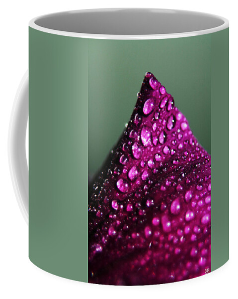 Flower Coffee Mug featuring the photograph Mountain of a Flower by John Meader