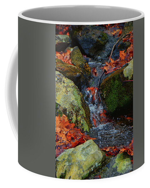 Mountain Spring On The At Coffee Mug featuring the photograph Mountain Spring on the AT by Raymond Salani III