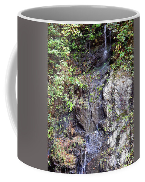 Waterfall Coffee Mug featuring the photograph Mountain Spring by Phil Perkins