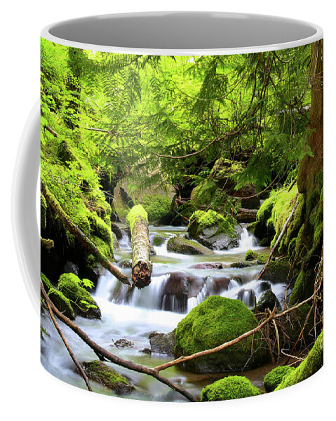 Fir Tree Coffee Mug featuring the photograph Mountain Stream in the Pacific Northwest by Bruce Block