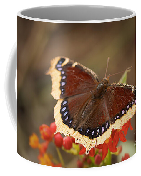 Butterfly Coffee Mug featuring the photograph Mourning Cloak Butterfly by Ana V Ramirez