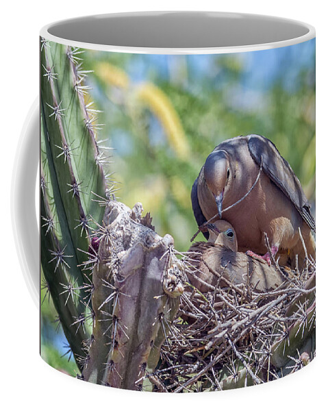 Mourning Coffee Mug featuring the photograph Mourning Dove 6579-041818-1cr by Tam Ryan