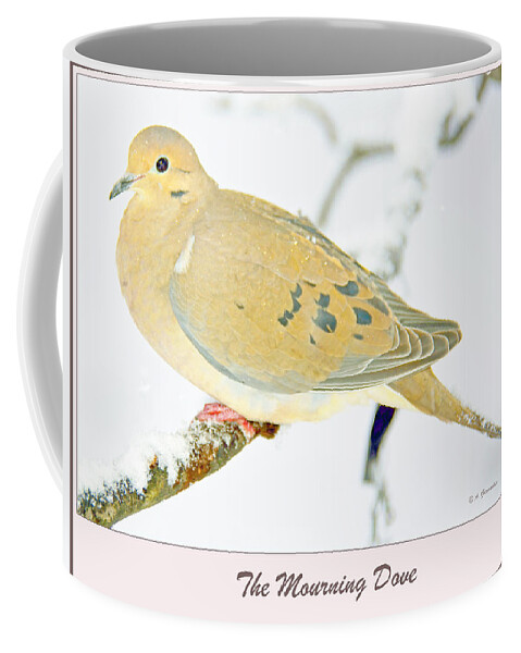 Zenaiada Macroura Coffee Mug featuring the photograph Mourning Dove in Snow Animal Portrait by A Macarthur Gurmankin