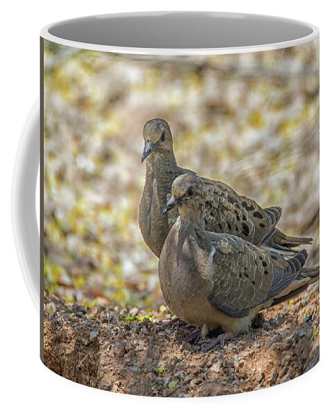 Mourning Coffee Mug featuring the photograph Mourning Doves 6963-042318-1cr by Tam Ryan