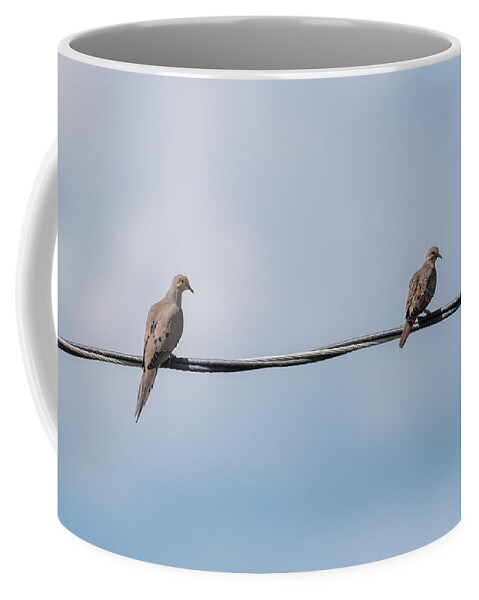 Mourning Doves Coffee Mug featuring the photograph Mourning Doves by Holden The Moment