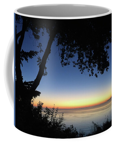 Lake Coffee Mug featuring the photograph Mourning by Terri Hart-Ellis
