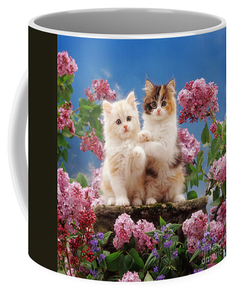 Green Alkanet Coffee Mug featuring the photograph Move over, this is My Flower Patch by Warren Photographic