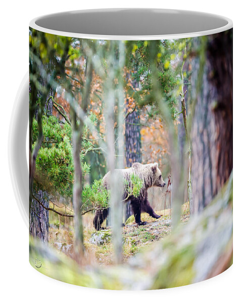 Moving Bear Coffee Mug featuring the photograph Moving Bear by Torbjorn Swenelius