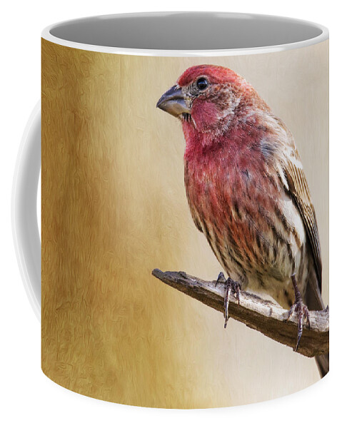 Carpodacus Coffee Mug featuring the photograph Mr Finch Standing Tall by Bill and Linda Tiepelman