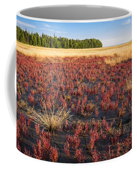 Salicornia Virginica Coffee Mug featuring the photograph Mudflat Garden by Tim Newton