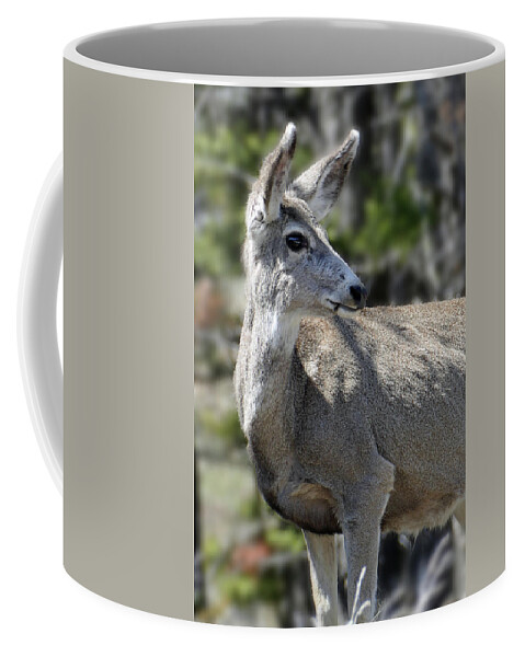 Mule Deer Coffee Mug featuring the photograph Mule Deer 5 by JustJeffAz Photography