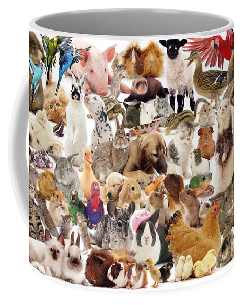 Pets Coffee Mug featuring the photograph Multiple Pets Montage by Warren Photographic