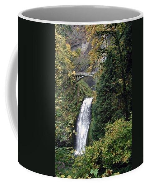Multnomah Coffee Mug featuring the photograph Multnomah Falls 3 by DArcy Evans