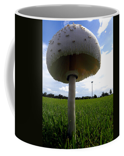 Mushroom Coffee Mug featuring the photograph Mushroom 005 by Christopher Mercer