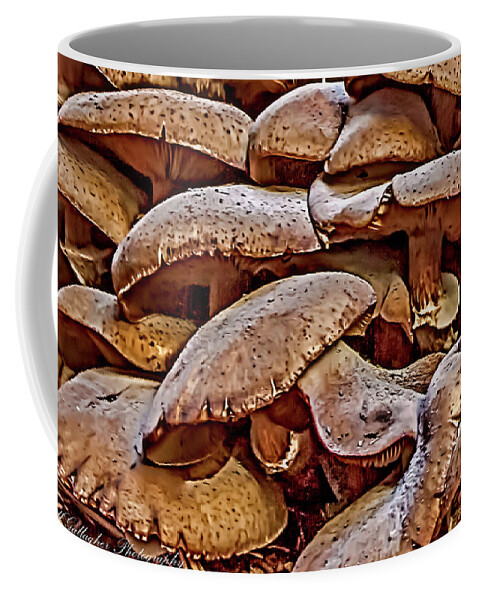 Nature Coffee Mug featuring the photograph Mushroom Colony by Bill Gallagher
