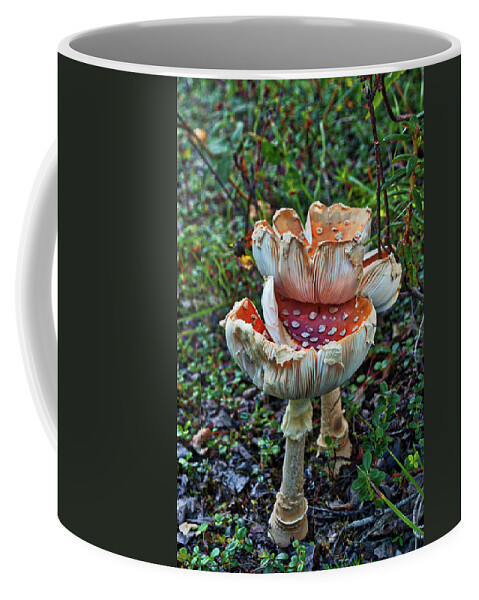 Mushroom Coffee Mug featuring the photograph Mushroom Gills by Cathy Mahnke
