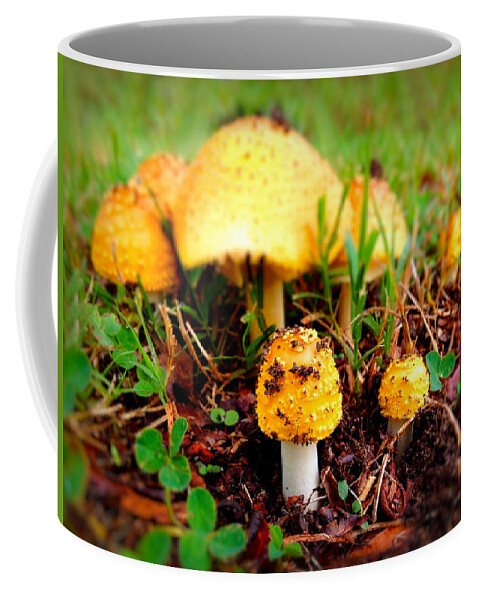 Landscape Coffee Mug featuring the photograph Mushrooms in Wonder by Morgan Carter
